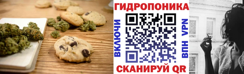 Canna-Cookies конопля  Каменногорск 