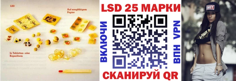 где купить наркотик Каменногорск Лсд 25 экстази кислота