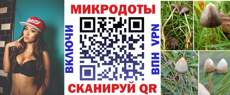 Галлюциногенные грибы Cubensis  Каменногорск 